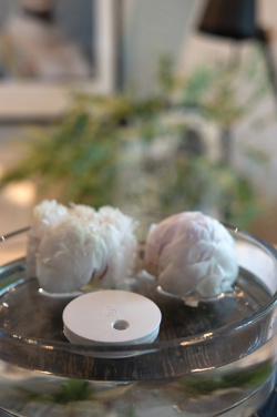 Logotrade korporatīvās dāvanas foto: Breevia RCS plastmasas atkārtoti uzlādējams peldošs mitrinātājs