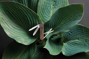 Логотрейд pекламные cувениры картинка: Карманный нож VICTORINOX Classic SD Wood, 5 функций