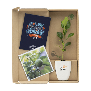 Logotrade reklamprodukter bild: Treemore Letterbox Träd Kaffir Lemon